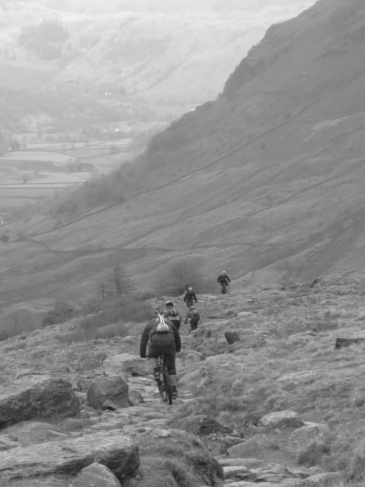 The more the merrier!