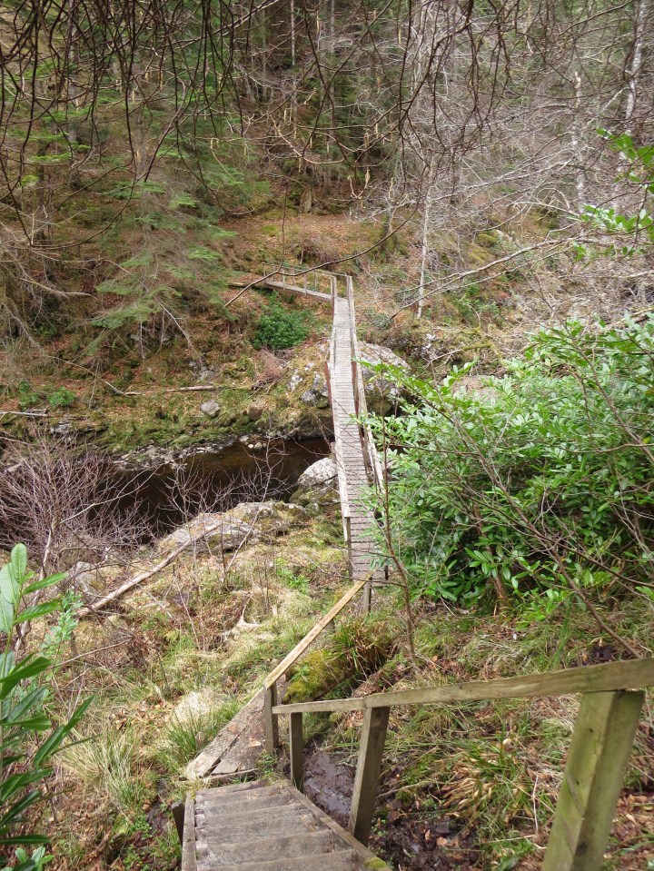 The rickety toothpick bridge!