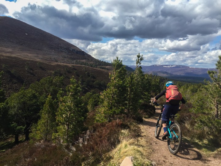 Dropping in to the treeline above Rothiemurchus