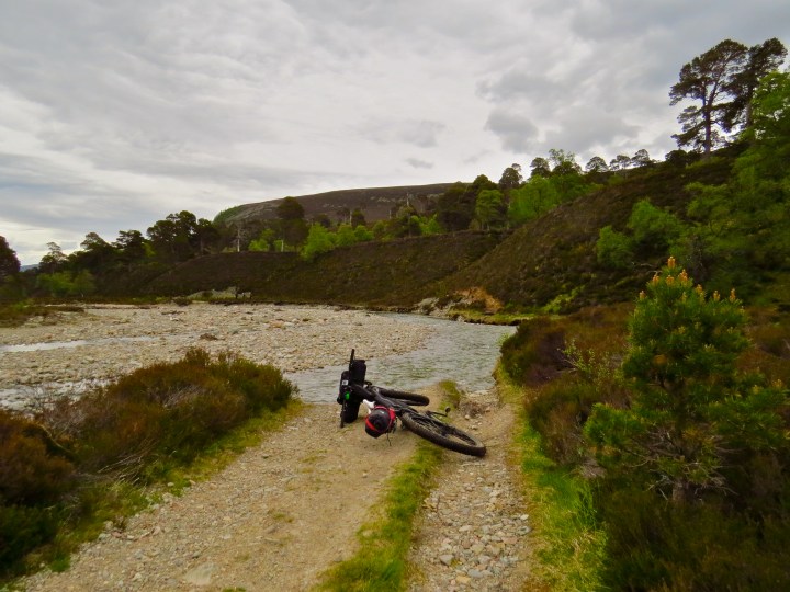 Shouldn't there be a track here..?