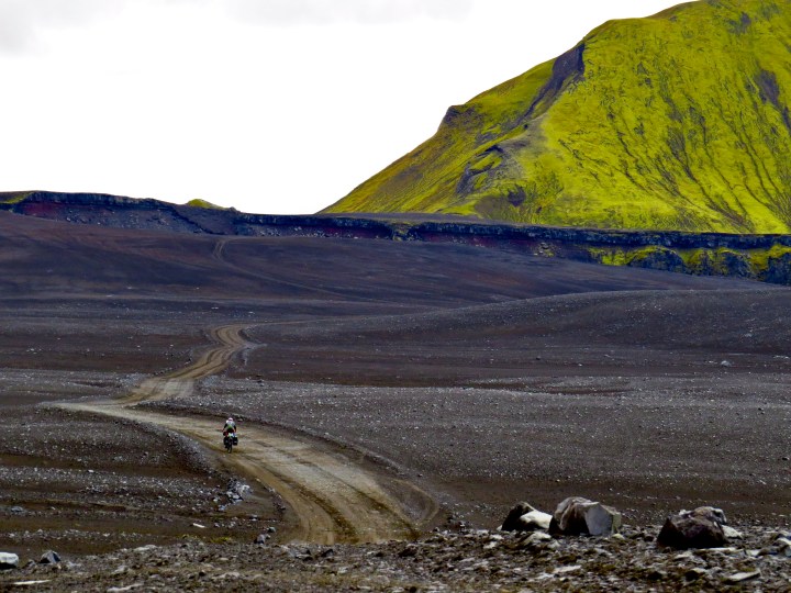 Finally, some sign of life emerged from the gravel. I had never been so happy to see the colour green! 