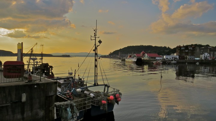 Oban harbour.